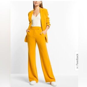 Express Flared Leg Pants